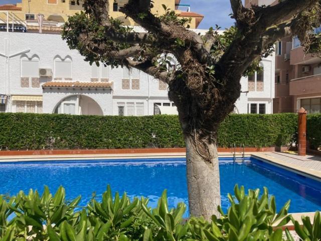 Casa Torrevieja La Mataヴィラ エクステリア 写真
